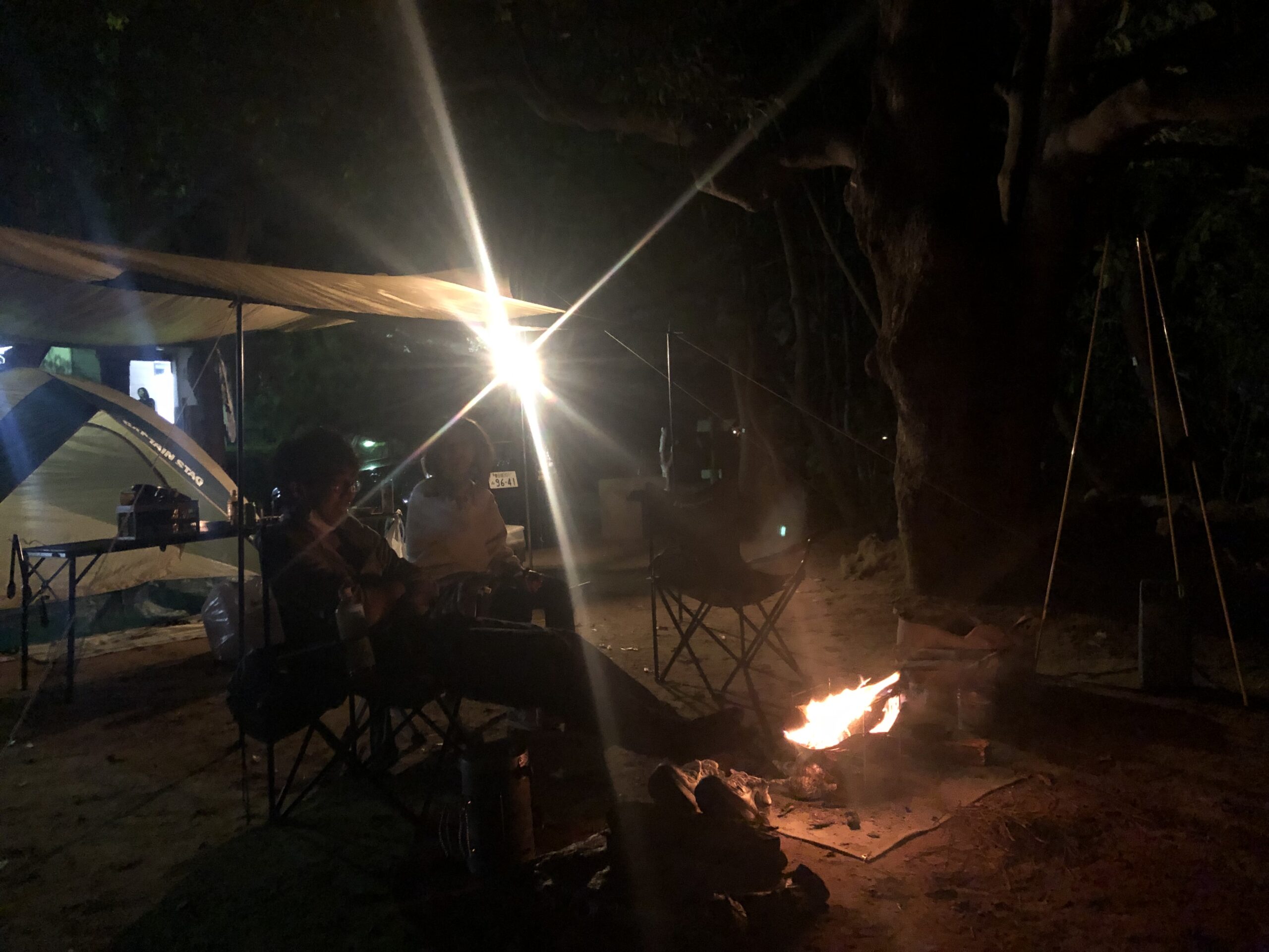 林の中で焚き火を楽しむ夜のキャンプ風景